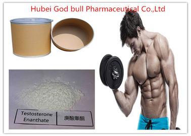 Китай Анаболический стероид тестостерона мышцы массовый, стероид Энантате тестостерона КАС 315-37-7 сырцовый поставщик
