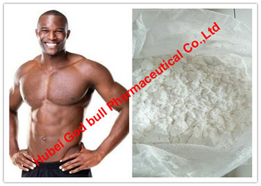 Китай Тестостерон Ундеканоате/низко анаболический стероид с очищенностью 99%, белый порошок тестостерона поставщик