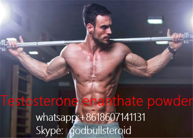 Китай впрыска тестостерона сырцового стероидного порошка енантате тестостерона белая поставщик