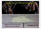 360-70-3 стероид Дека Дураболин, медицинские анаболические стероиды здания мышцы поставщик