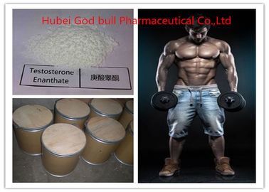 Китай 315-37-7 фармацевтический тестостерон анаболический стероид, правовой тестостерон энантат порошок поставщик