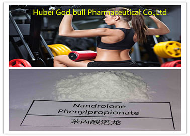Китай Фитнес стероида цикла порошка Фенылпропионате 62-90-8 Нандролоне ссыпая поставщик