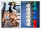 Анаболические стероиды ГнРХ Гонадорелин ХГХ, порошки КАС 33515-09-2 белые сырцовые стероидные поставщик